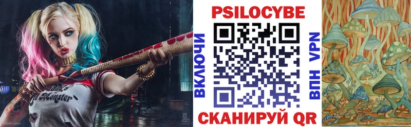Купить закладки  Волгореченск  Псилоцибиновые грибы Magic Shrooms 